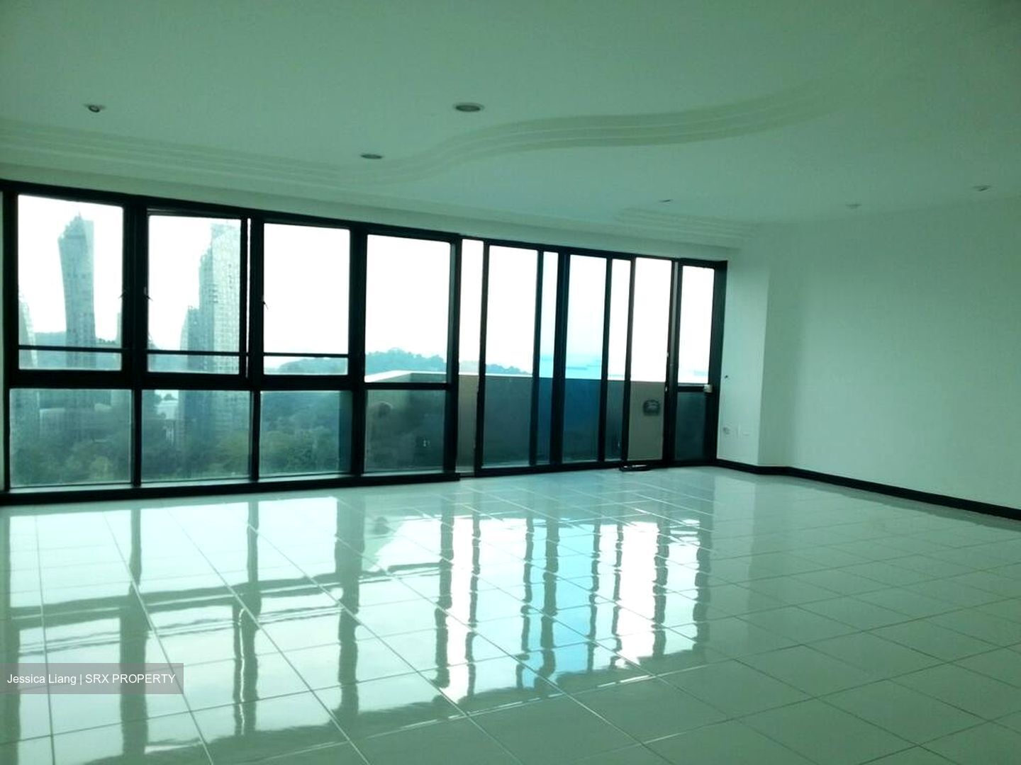 Harbour View Towers (D4), Condominium #585583741